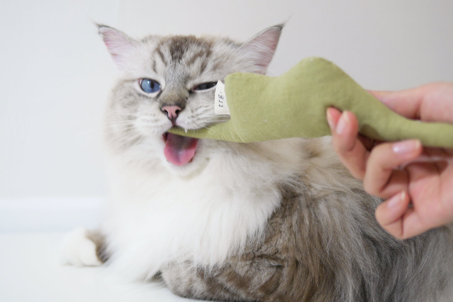 Boa Snake catnip cat toy