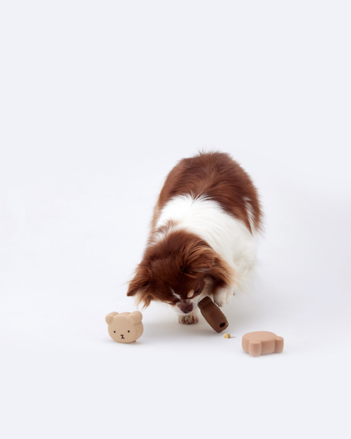 COCONI BEAR SILICONE NOSEWORK TOY