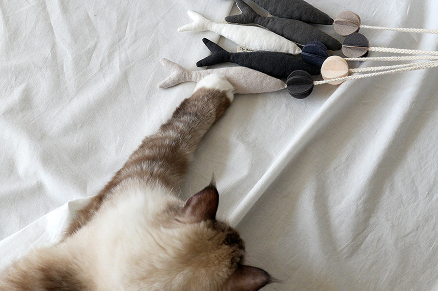 Fish and Chews . Beige