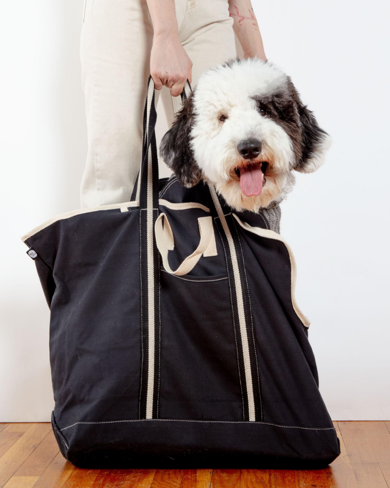 City Carrier Dog Bag in Size 4