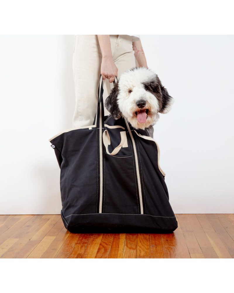 City Carrier Dog Bag in Size 4