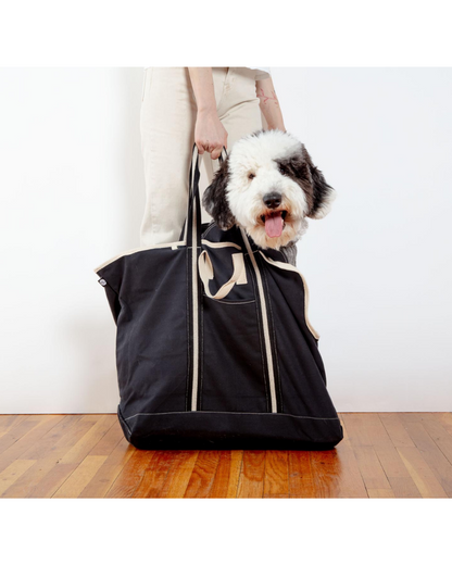 City Carrier Dog Bag in Size 4