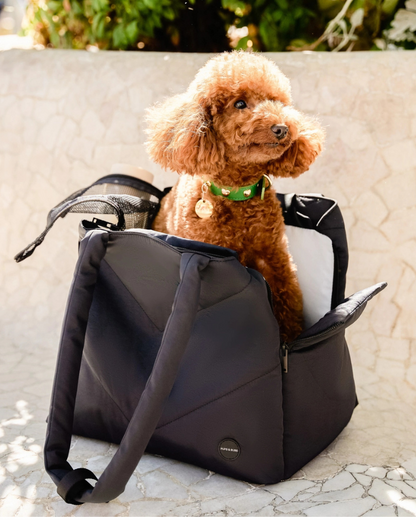 The Destination Pet Carrier Tote (Enclosed)