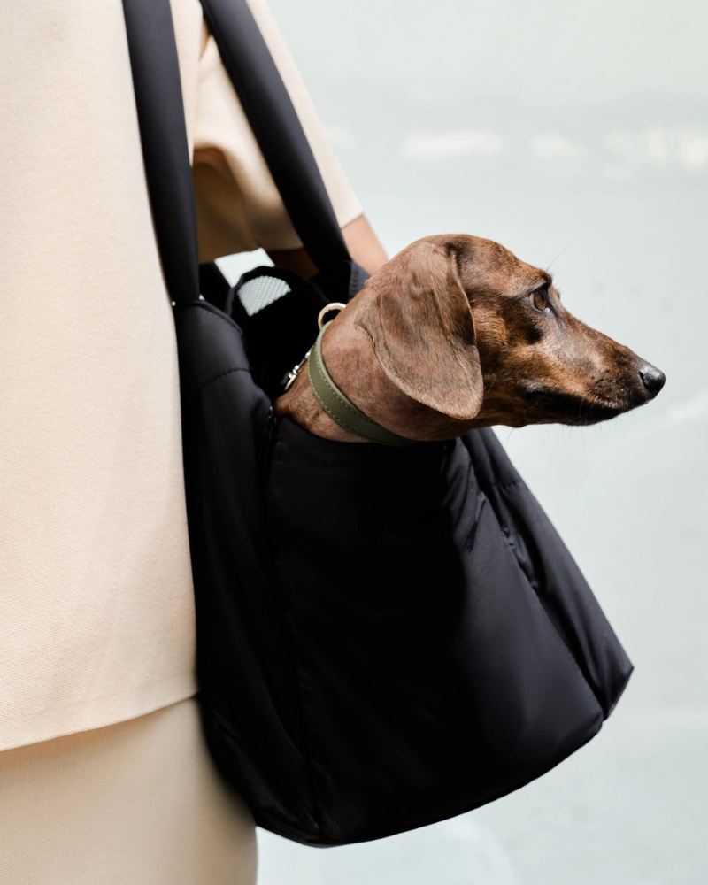 The Destination Pet Carrier Tote (Enclosed)