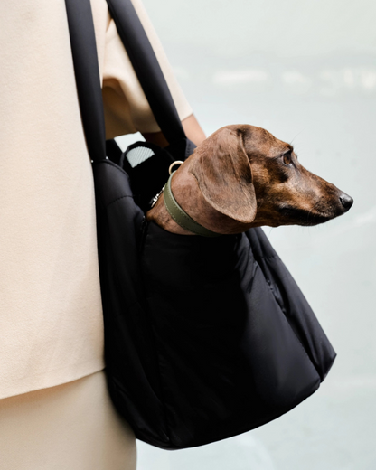 The Destination Pet Carrier Tote (Enclosed)