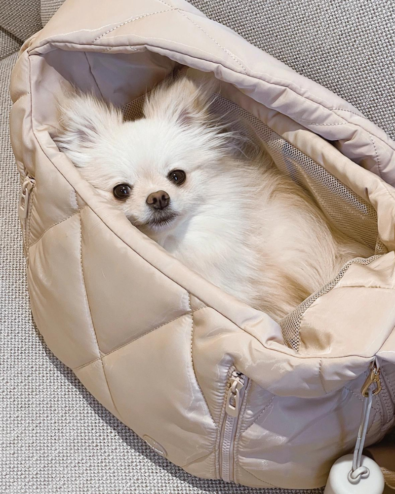 Cloud Crossbody Pet Carrier in Beige or Black