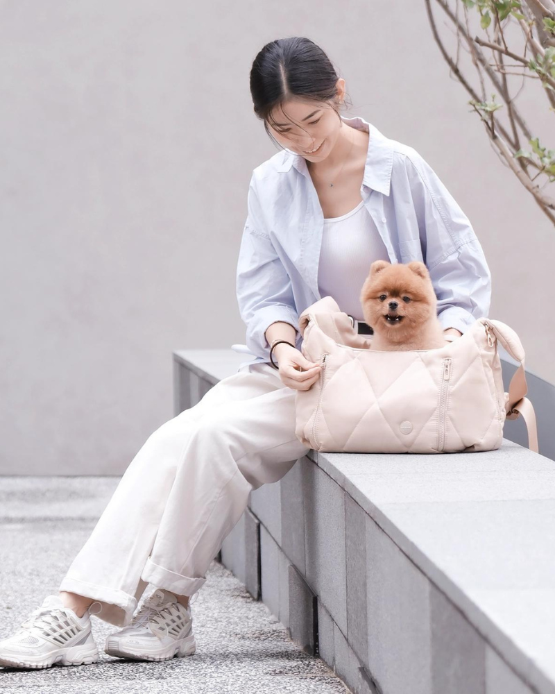 Cloud Crossbody Pet Carrier in Beige or Black