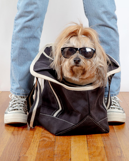 City Carrier Dog Bag in Size 2