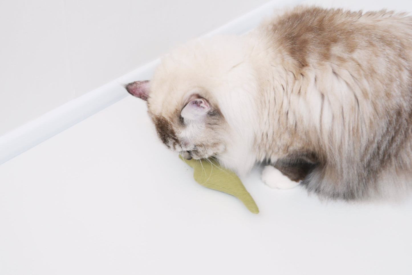 Boa Snake  catnip cat toy