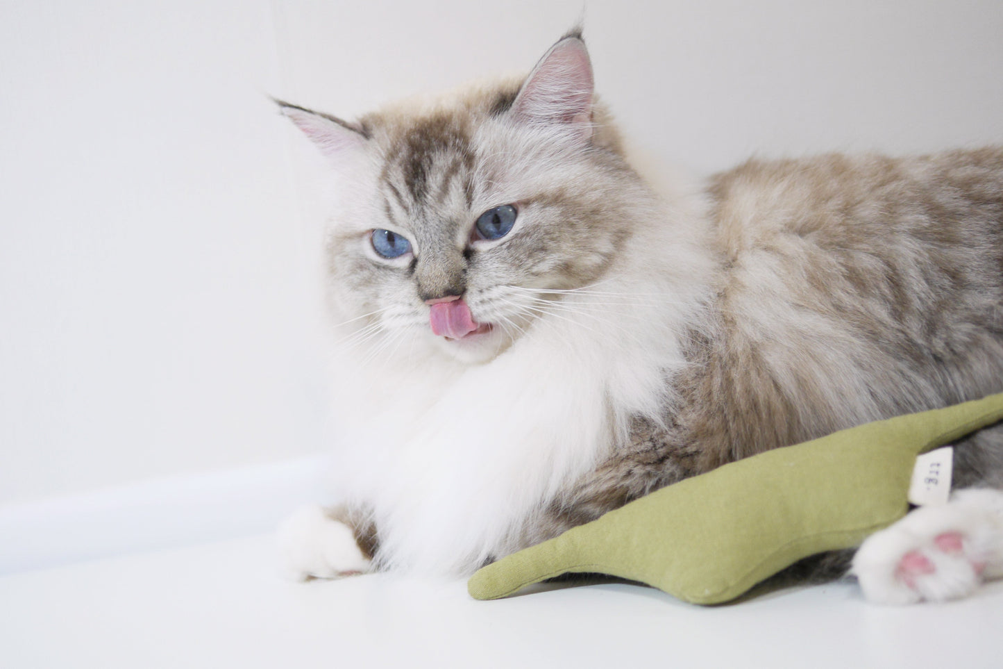 Boa Snake  catnip cat toy