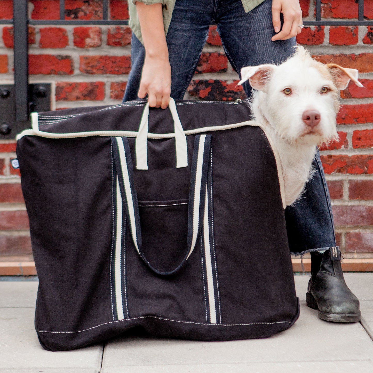 City Carrier Dog Bag in Size 4