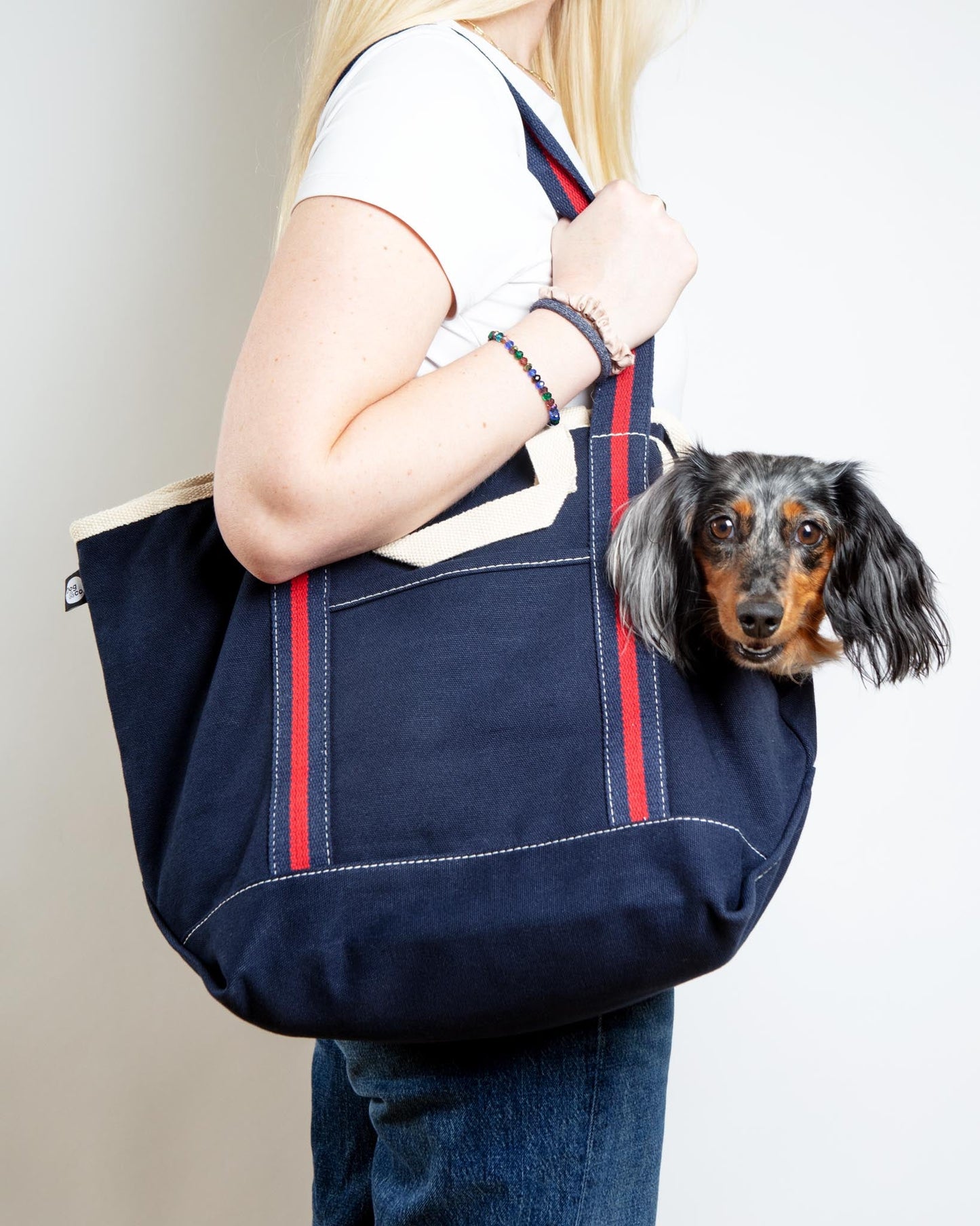 City Carrier Dog Bag in Size 2