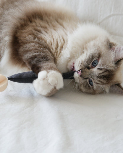 Fish and Chews . Charcoal