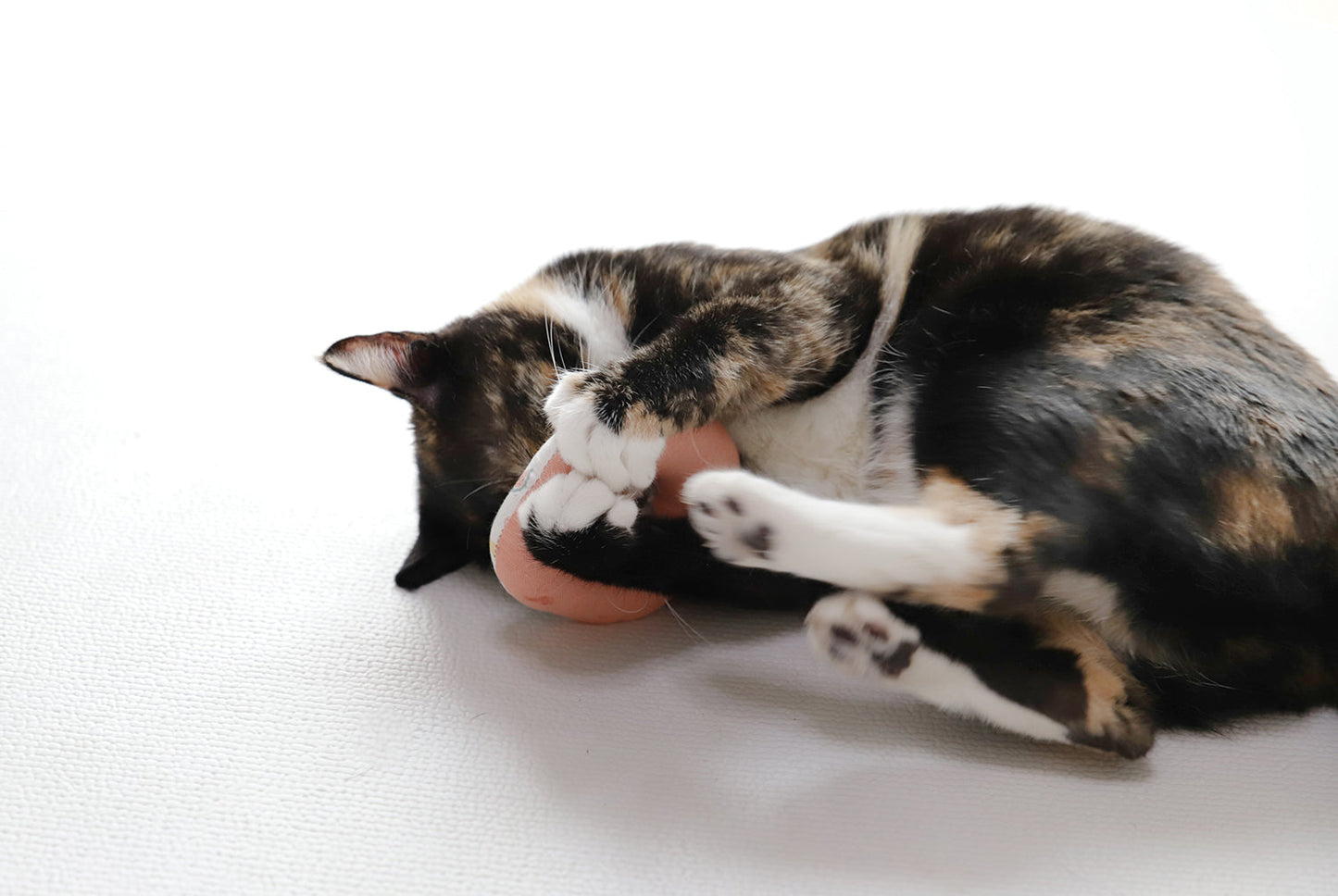 CatNut Toys