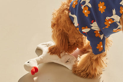 Flying Duck Nosework Toy