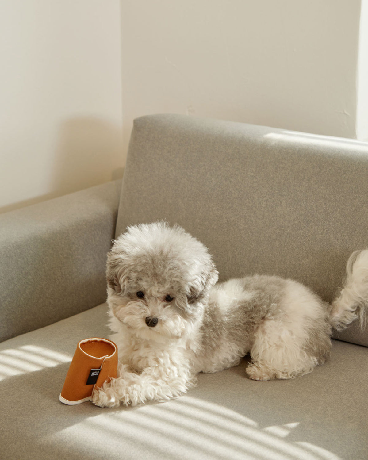 PAPER CUP NOSEWORK TOY