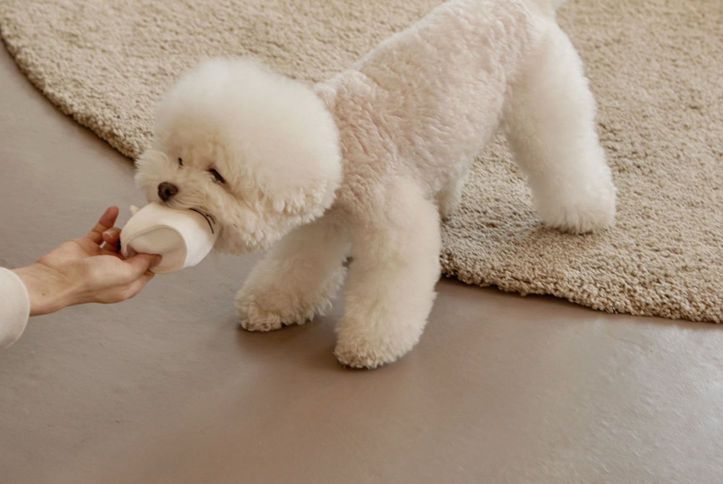 PAPER CUP NOSEWORK TOY
