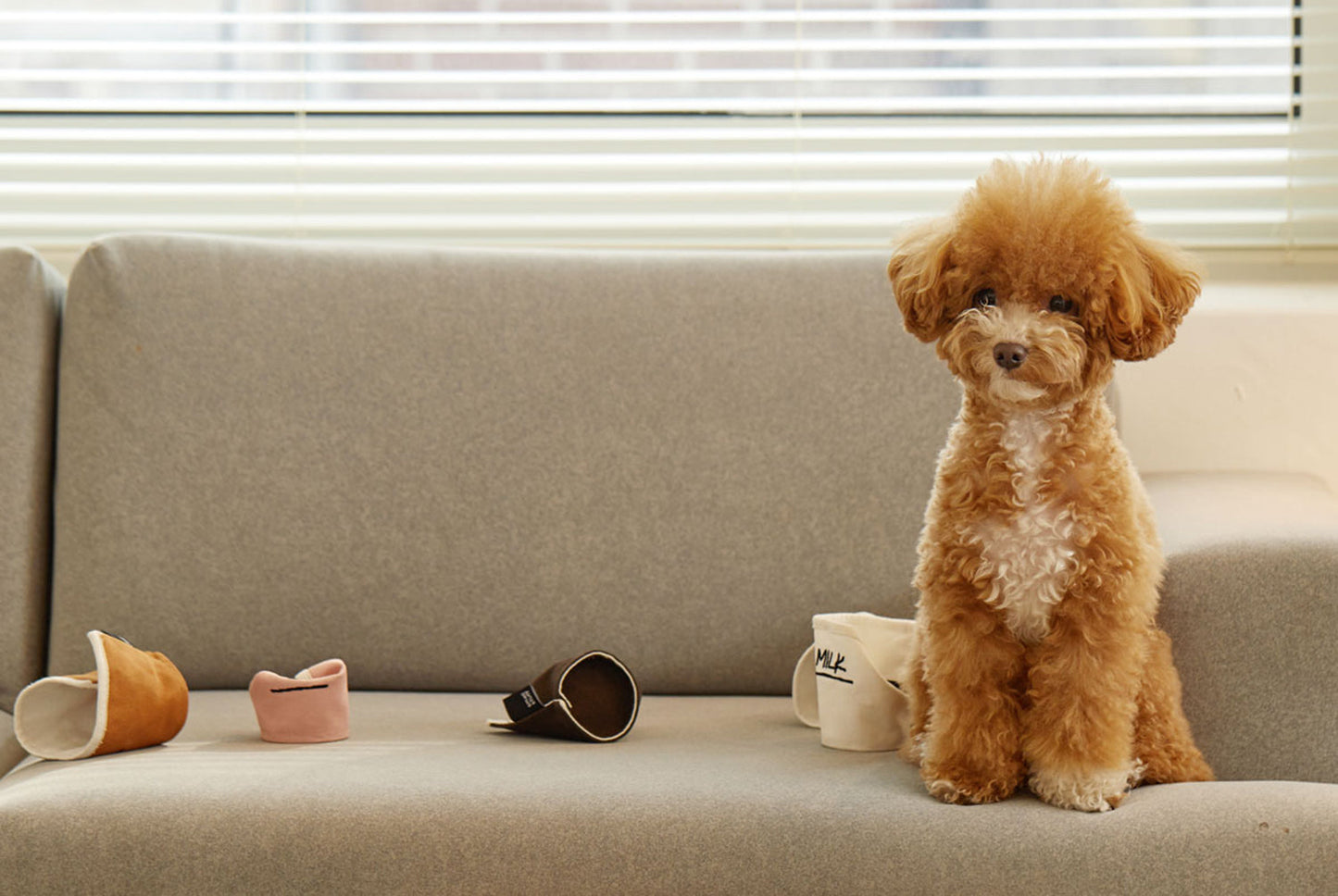 PAPER CUP NOSEWORK TOY