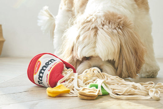 RAMEN NOSE WORK TOY