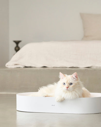 All Day Cat Scratcher . White