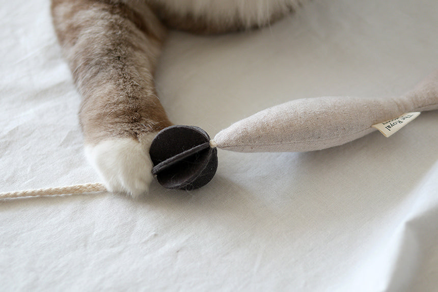 Fish and Chews . Beige