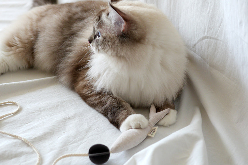 Fish and Chews . Beige