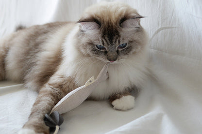 Fish and Chews . Beige