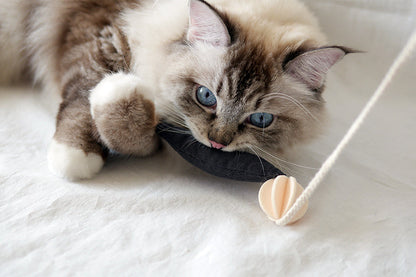 Fish and Chews . Charcoal