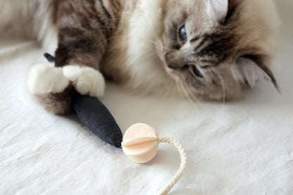 Fish and Chews . Charcoal