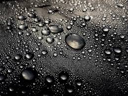 Vancouver Waterproof Crossbody Dog Sling in Black (for Dogs 4-14 lbs)