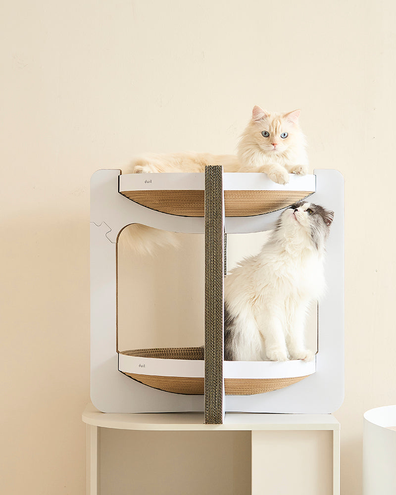 TIRAMISU CAT SCRATCHER BOARD